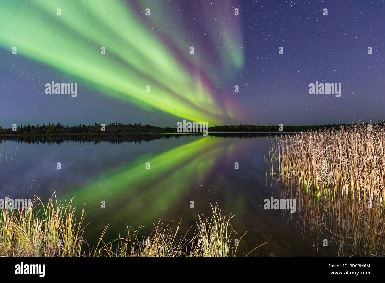 Yellowknife, Canada - 23 septembre 2025 : lumières du nord avec un lac en arrière-plan Banque D'Images