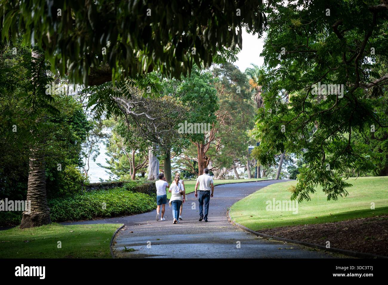 Gens marchant dans le jardin botanique royal, Sydney, NSW, Australie Banque D'Images
