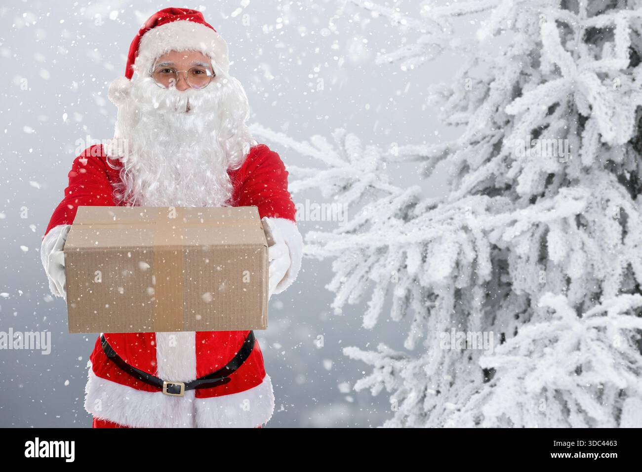 Père Noël tenant parcelle près du sapin couvert de neige, gros plan Banque D'Images
