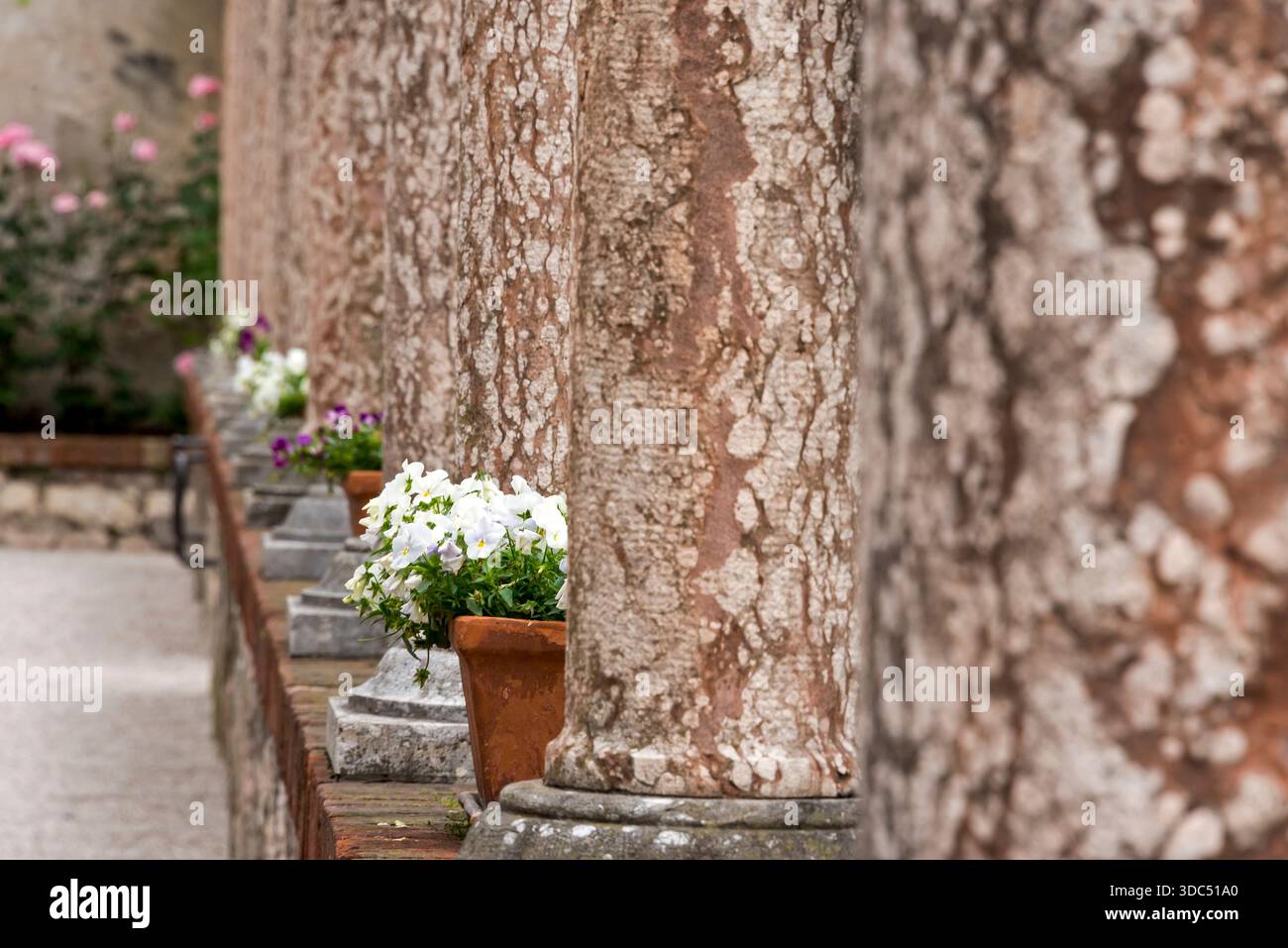 Castelo del Buonoconsiglio. Trente, Italie Banque D'Images