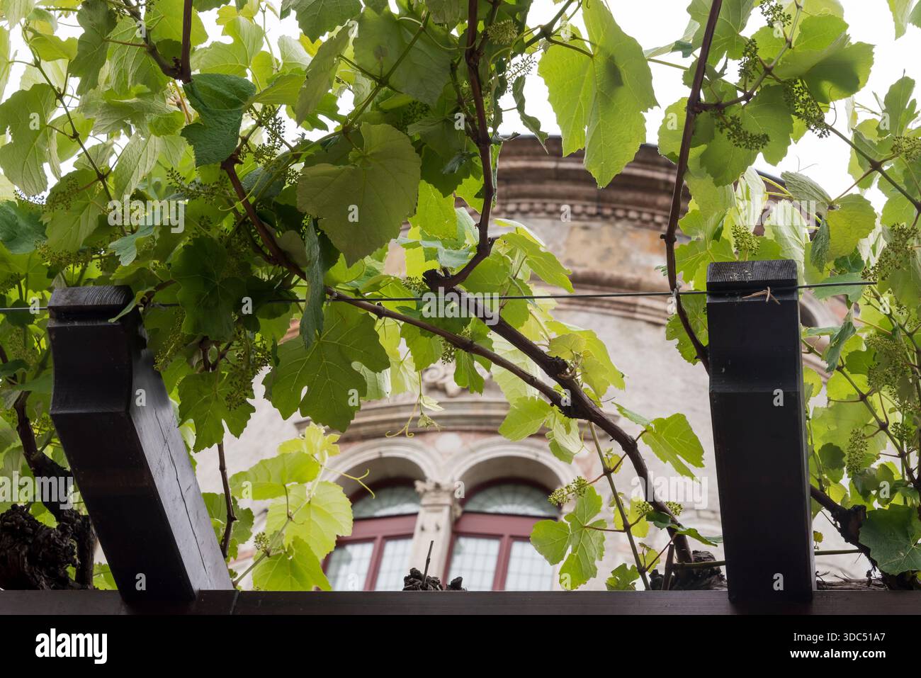 Castelo del Buonoconsiglio. Trente, Italie Banque D'Images