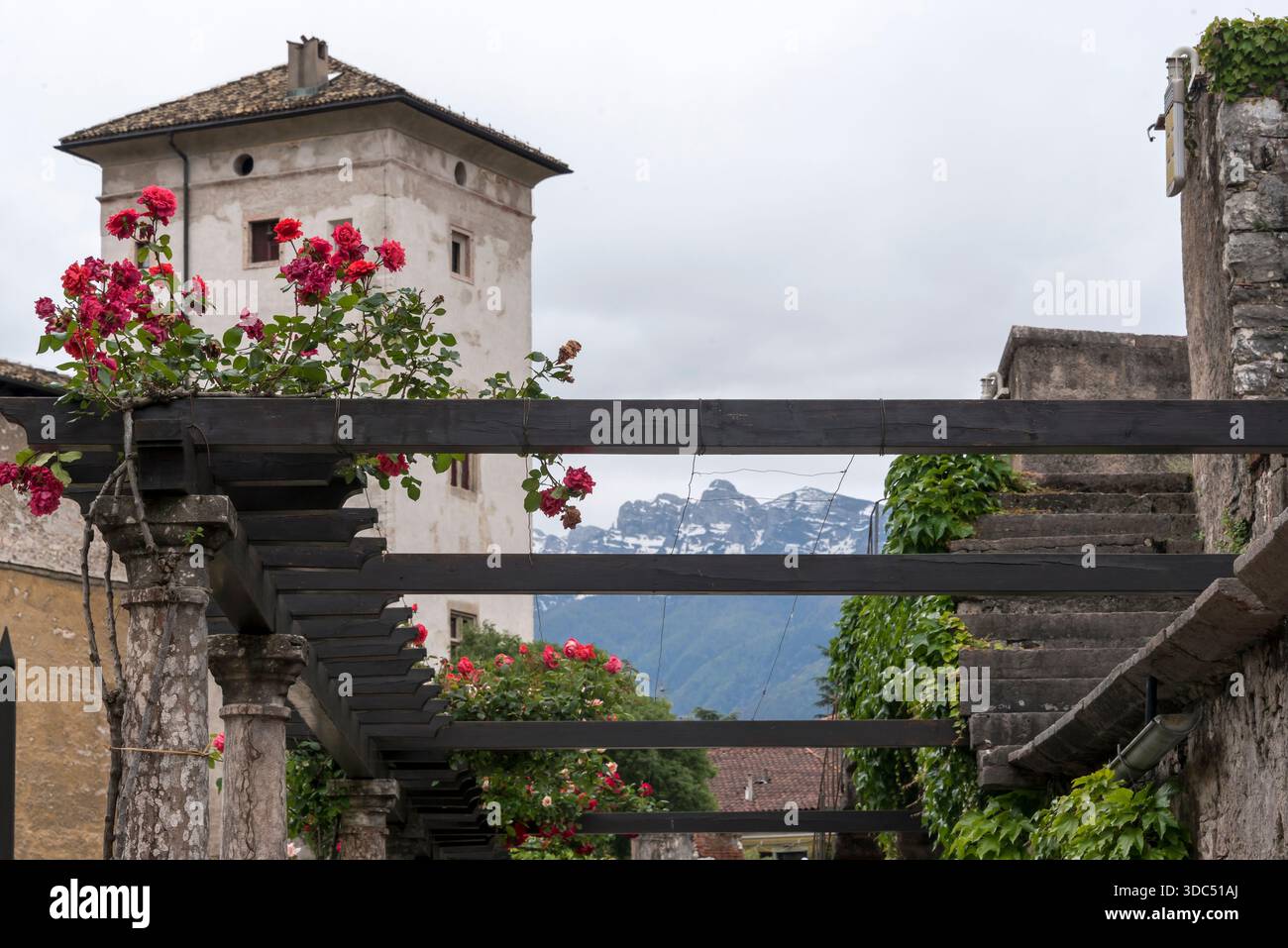 Castelo del Buonoconsiglio. Trente, Italie Banque D'Images