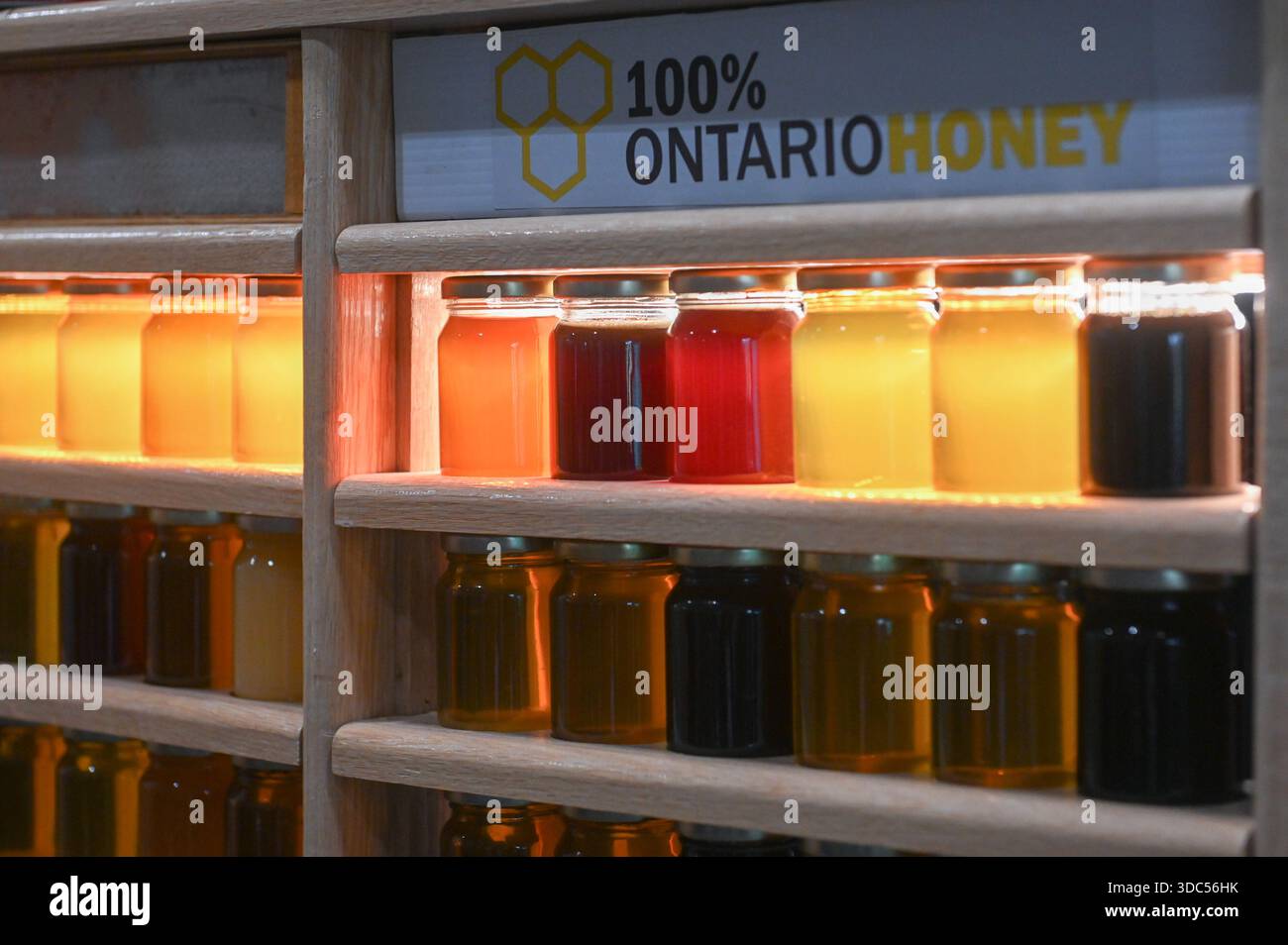 Toronto, ON, Canada - 14 novembre 2025 : rangées de bocaux de miel présentant des couleurs et des textures variées, mettant en vedette différents types de miel de l'Ontario lors d'un agr Banque D'Images