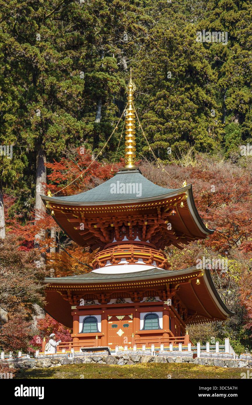 Pagode japonaise au sommet doré entourée d'arbres d'automne et d'une forêt verdoyante profonde, Osaka, Japon Banque D'Images