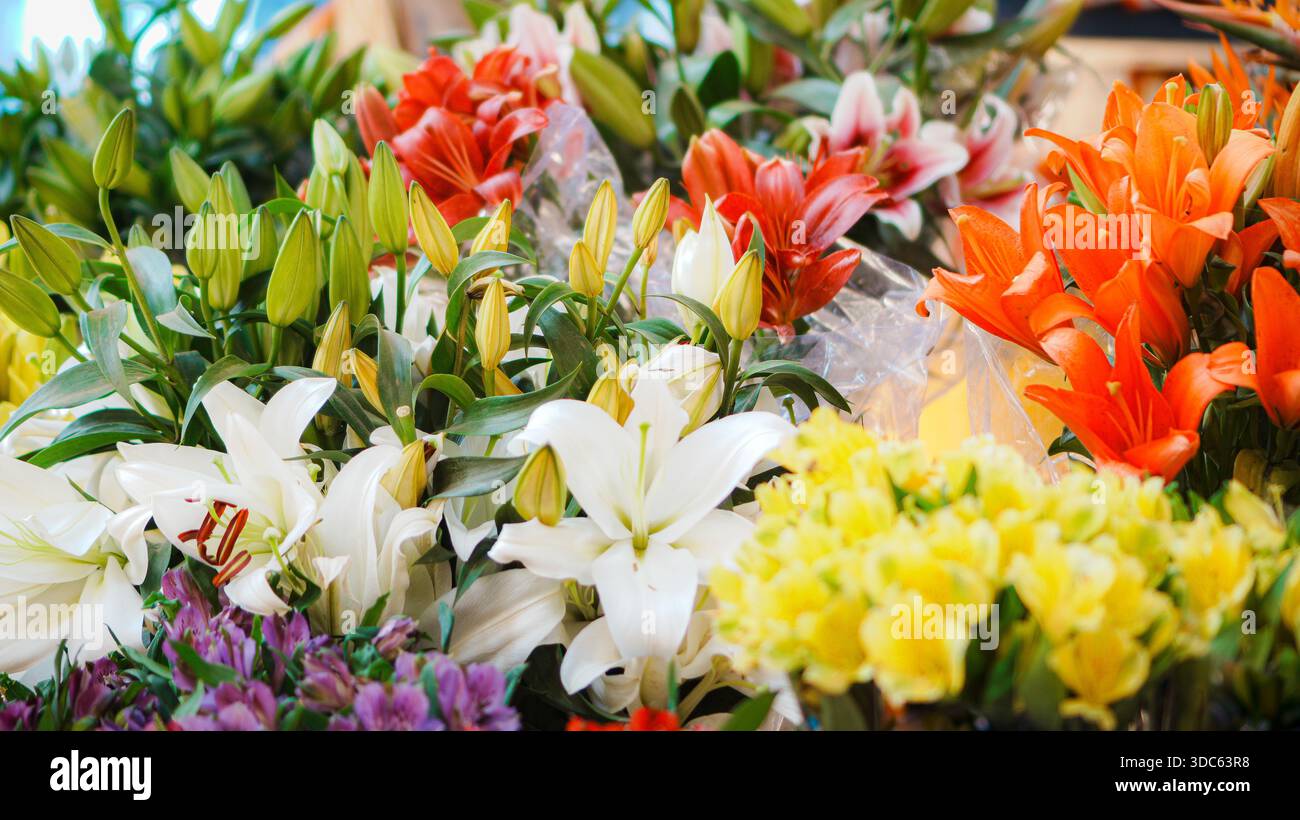 Beau bouquet de fleurs avec diverses fleurs dans une journée Banque D'Images