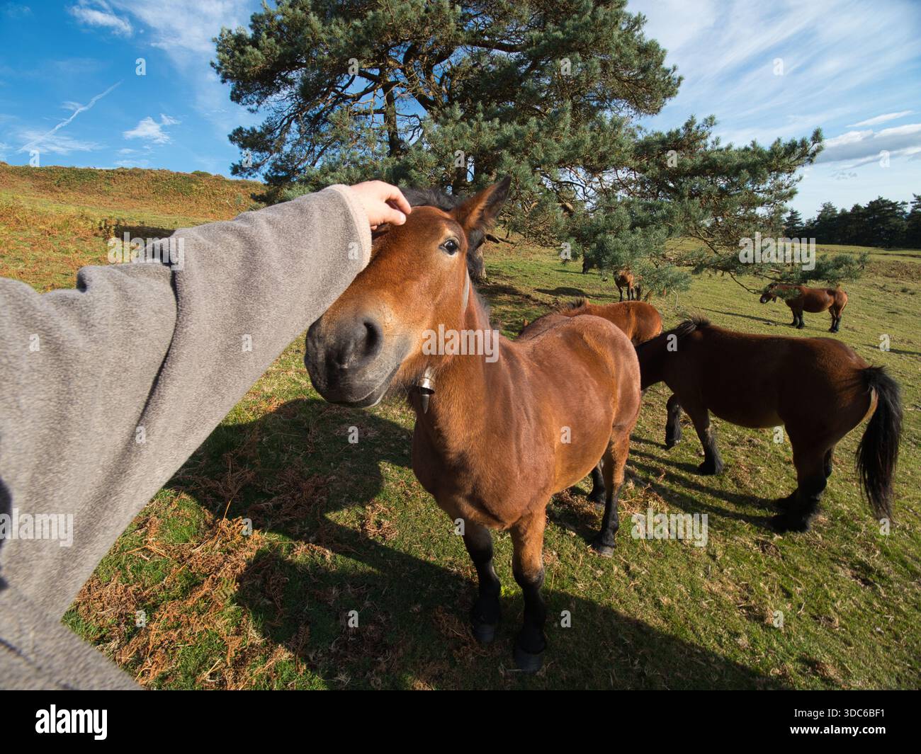 Urkiola-Communauté autonome du pays Basque-Espagne-12 octobre 2018,gros plan d'un objectif Olympus M.Zuiko Digital 7-14mm f/2,8 PRO visant une tanière Banque D'Images