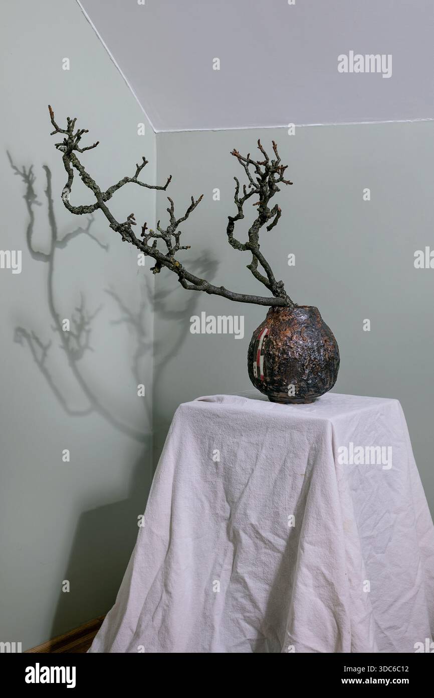 Branche décorative sèche ikebana dans un pot en céramique rustique sur nappe blanche contre mur gris clair. Ombre naturelle crée une composition artistique minimalis Banque D'Images