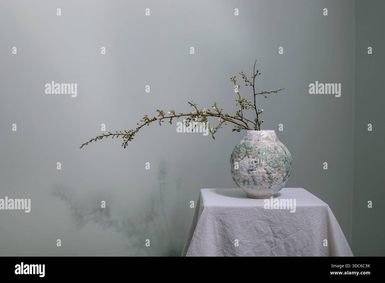 Branche fleurie délicate disposée dans un vase en céramique texturée sur une nappe blanche contre un mur gris doux. Composition minimaliste avec ombre projetée sur Wal Banque D'Images