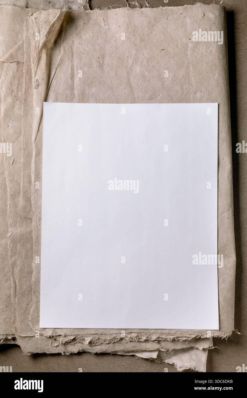 Feuille de papier blanc blanc propre ricae et mûrier placée sur fond de papier artisanal beige texturé composition minimaliste parfaite pour les modèles de maquettes Banque D'Images