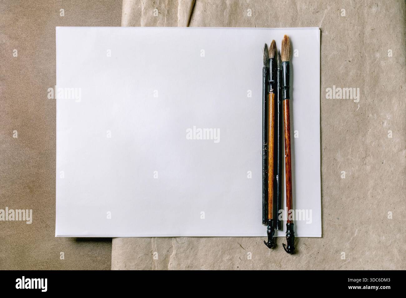 Pinceaux traditionnels avec poignées en bois placées sur du papier blanc vierge. Espace de travail d'art propre avec fond de papier de riz kraft naturel et de mûrier R Banque D'Images