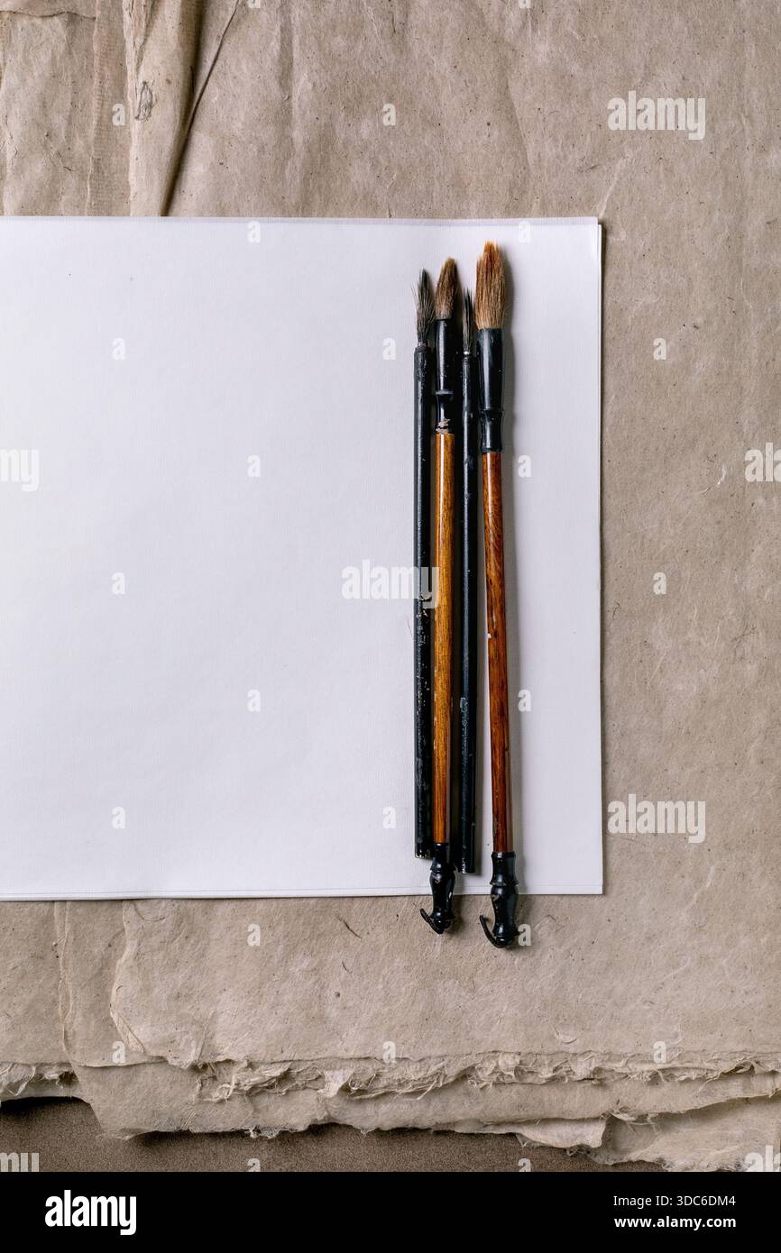 Trois pinceaux de calligraphie traditionnels avec des poignées en bois et des poils naturels placés sur une feuille de papier de riz blanc et de mûrier contre le kraft texturé PA Banque D'Images