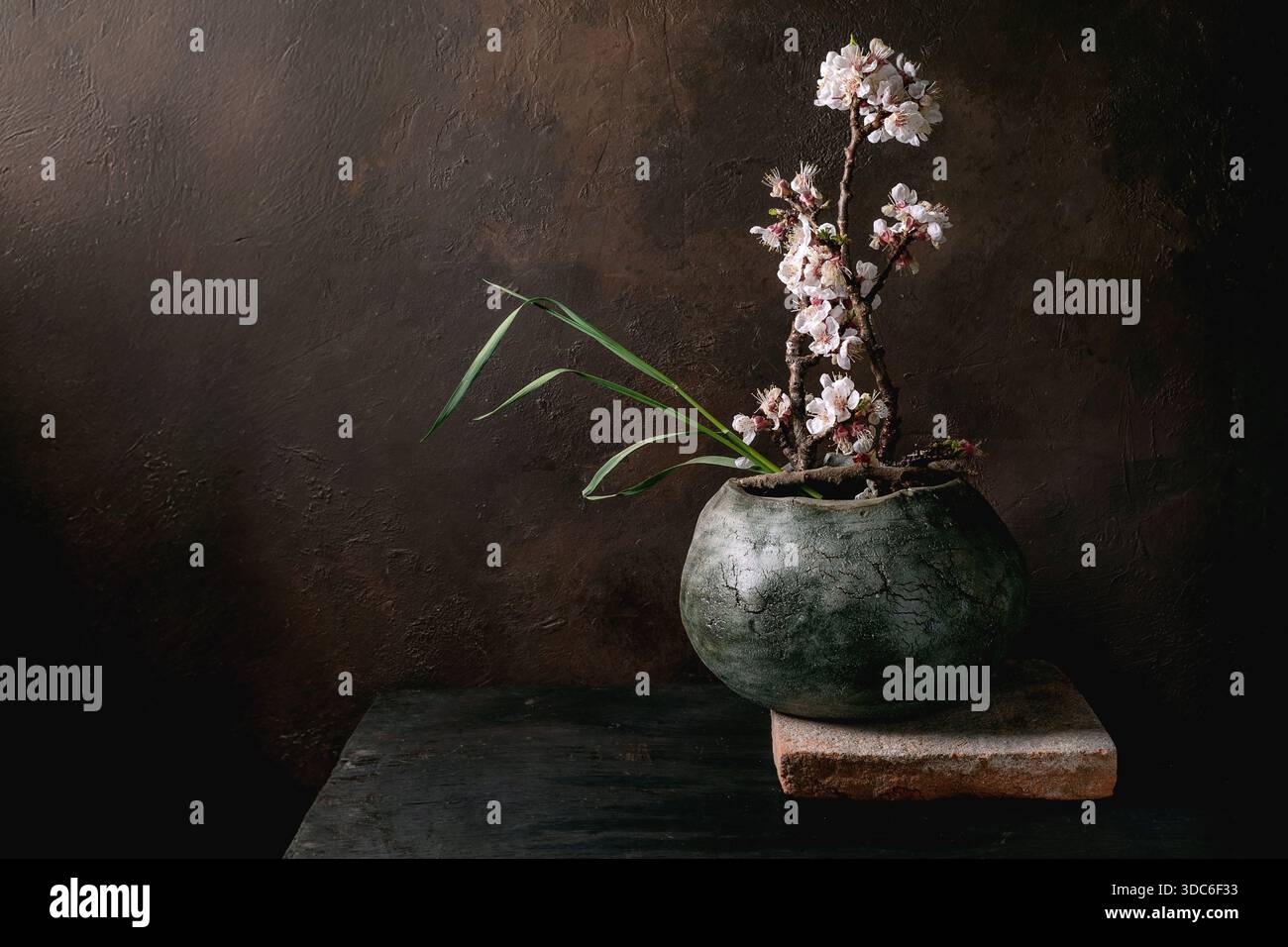 Branche délicate de fleurs de cerisier rose arrangée ikebana dans un pot en céramique vert rustique sur une base en pierre sur fond brun foncé texturé. Jap minimaliste Banque D'Images
