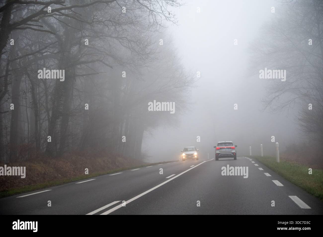 Conduite de voiture sur route dans un brouillard épais avec une mauvaise visibilité, forêt d'hiver sur les collines, brouillard épais et humidité, conditions météorologiques hivernales Banque D'Images