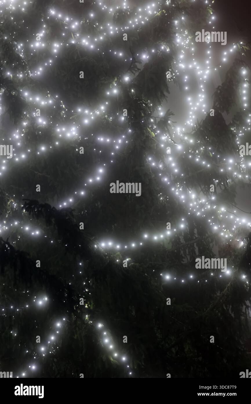Lumières blanches scintillantes ornant un arbre de noël dans une nuit brumeuse Banque D'Images
