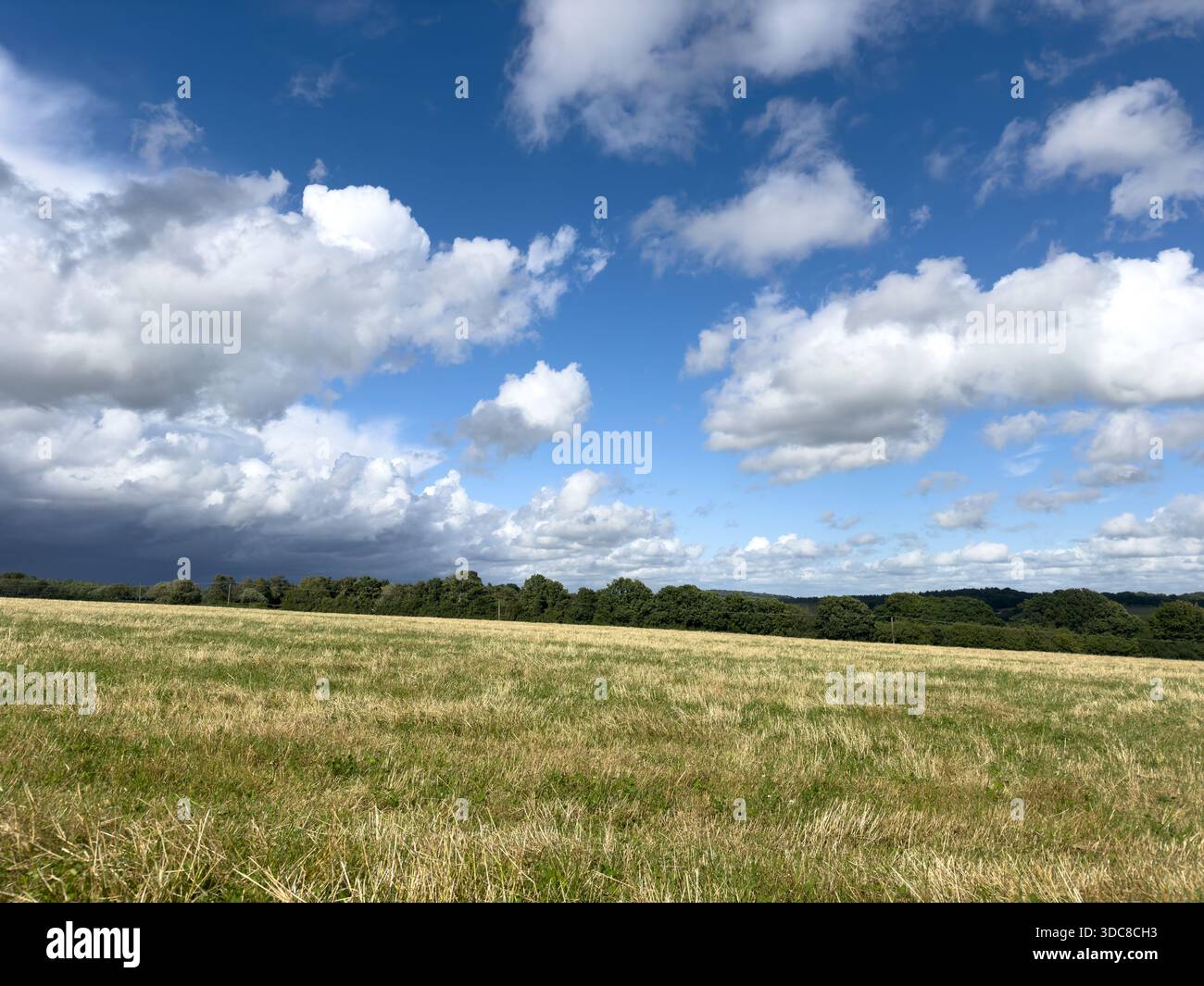 Herbe dorée et nuages rassemblés au-dessus de Crowborough, East Sussex - un moment calme dans l'Angleterre rurale Banque D'Images