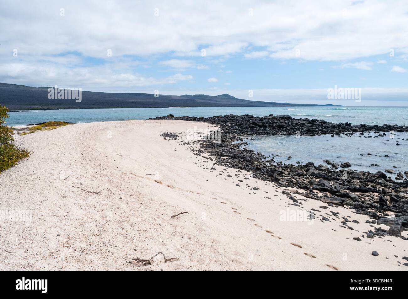 Paysage de plage avec des roches noires, Playa Manglecito, plage de Manglecito, île de San Cristóbal, îles Galapagos, Équateur Banque D'Images