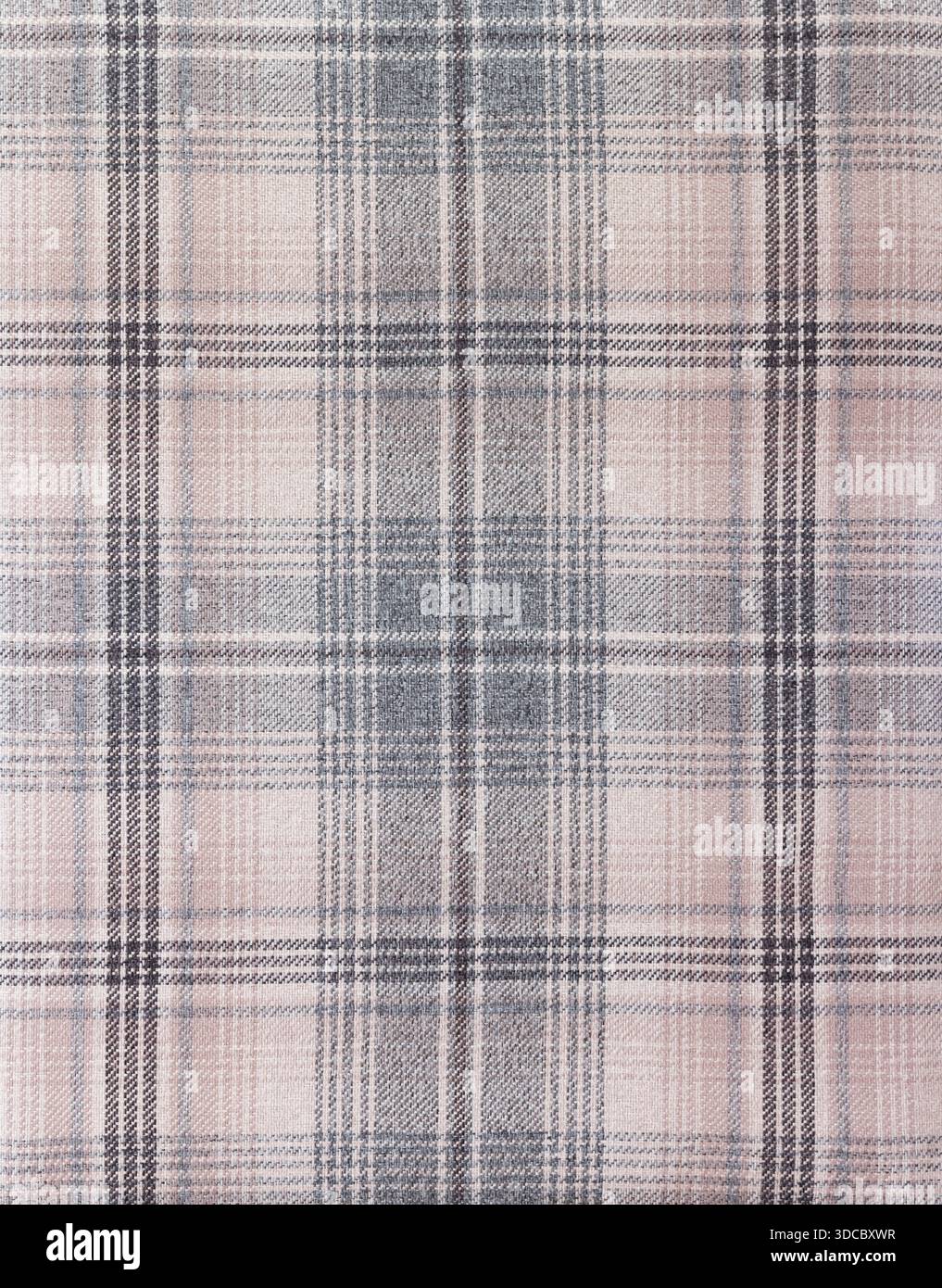 Tissu tartan gris clair, détail du motif de tissu Banque D'Images