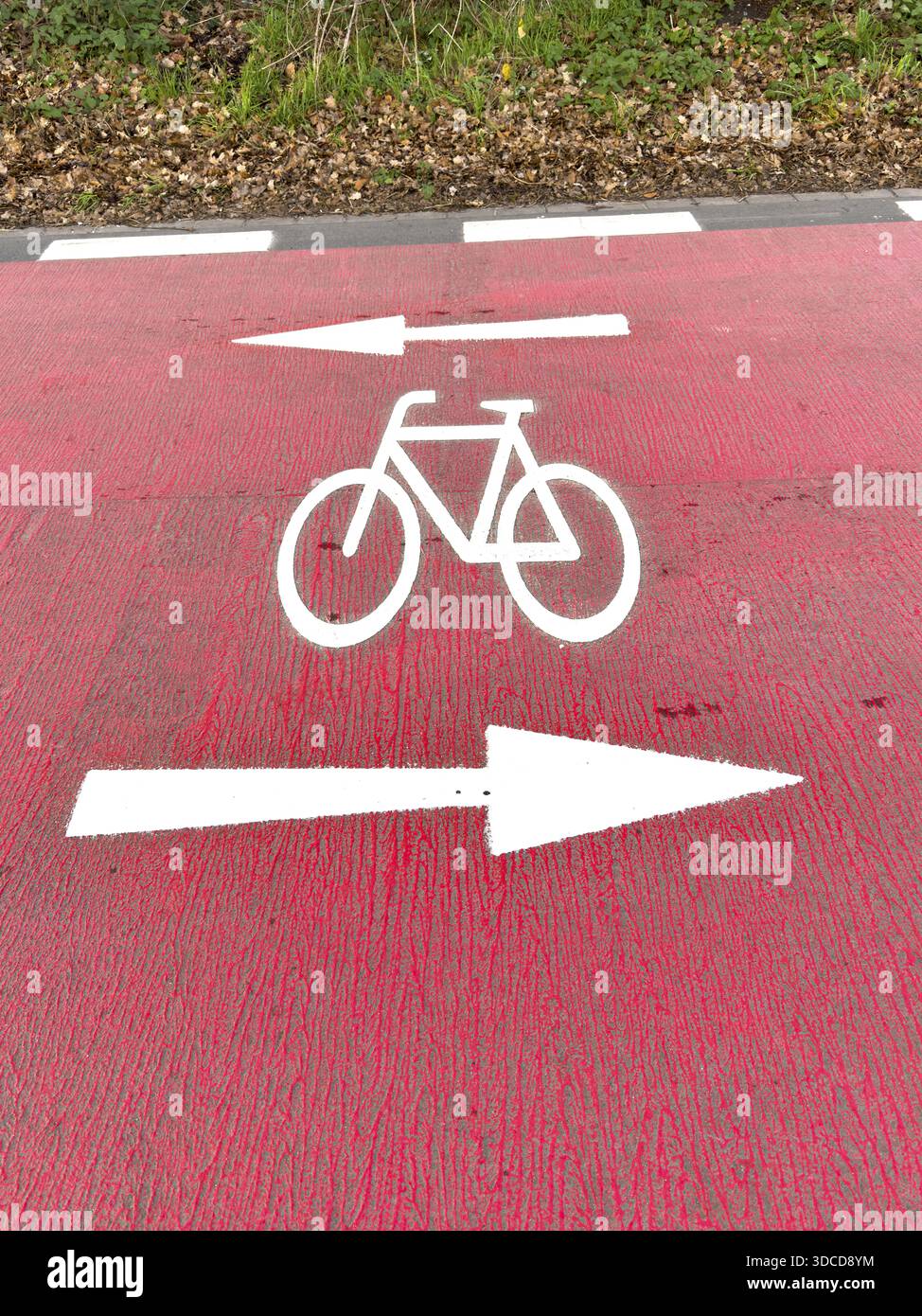 Signet de symbole stylisé de bicyclette sur la large route rouge de la route cyclable, ci-dessus, y compris les flèches pour les deux sens de voyage, Allemagne Banque D'Images