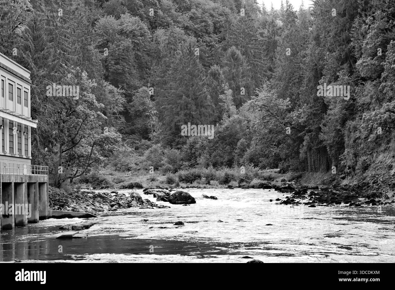 Vue en noir et blanc sur la rivière Snoqualmie et une centrale hydroélectrique encadrée par une forêt luxuriante, mêlant patrimoine industriel et beauté naturelle de Wa Banque D'Images