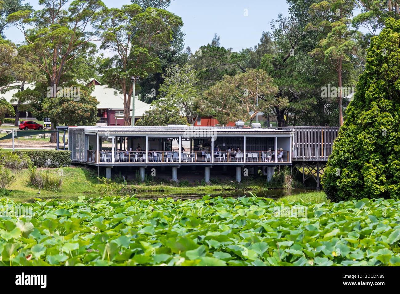 Mount Penang Waterfall Café sur pilotis à Kariong, Nouvelle-Galles du Sud, Australie le 22 décembre 2025 Banque D'Images