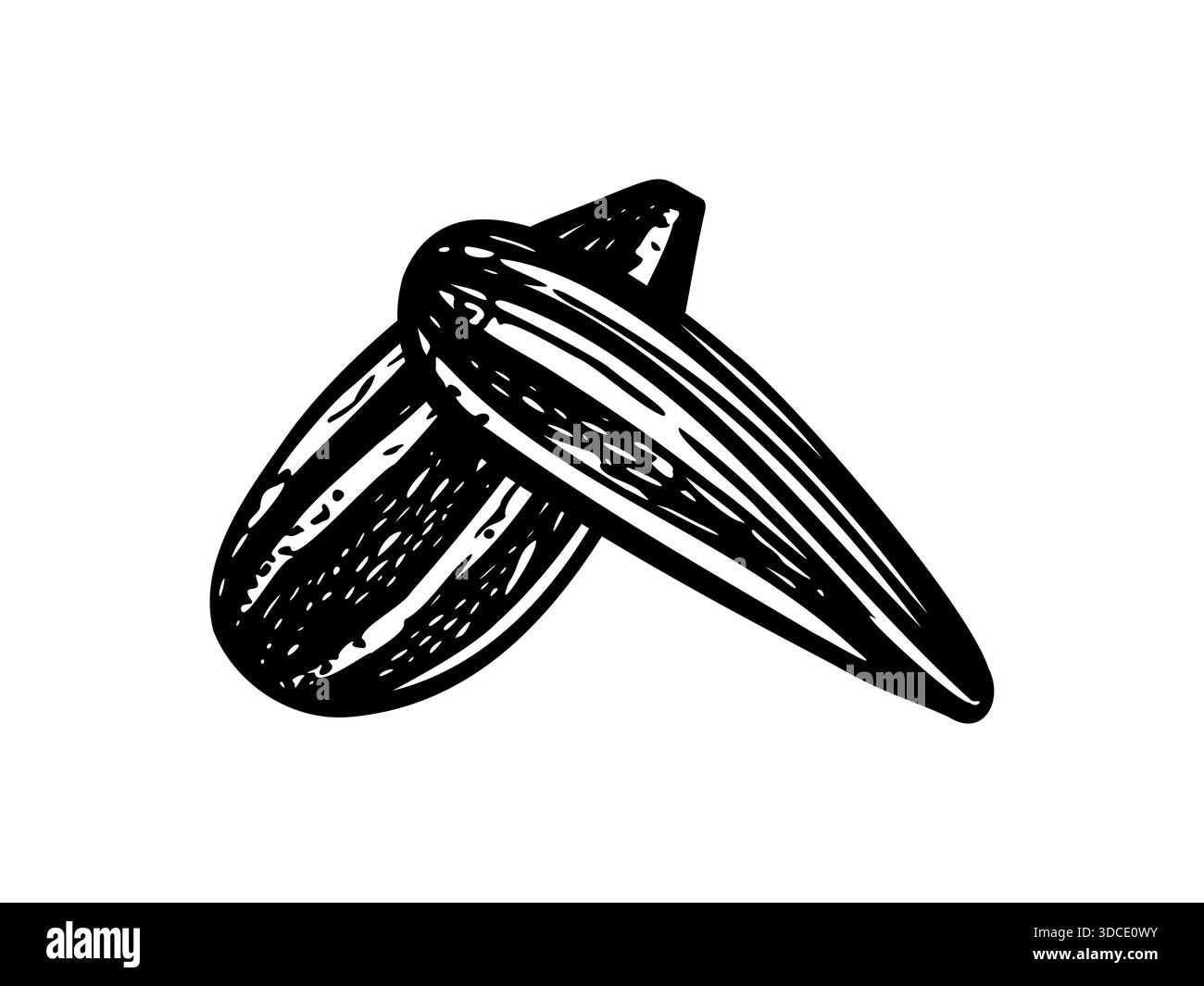 Graines de tournesol à coque noire monochrome vecteur line art dessin à l'encre noire. Deux dessins de gravure de graines oléagineuses pour un emballage de collation sain, blogs de nutrition Illustration de Vecteur