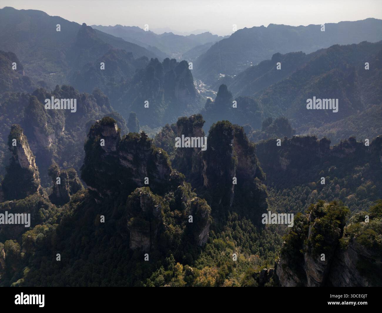 Vue aérienne de majestueux piliers de grès perçant le ciel, enveloppés de brume et de verdure luxuriante, un paysage de rêve de l'art de la nature, Zhangjiajie Nationa Banque D'Images