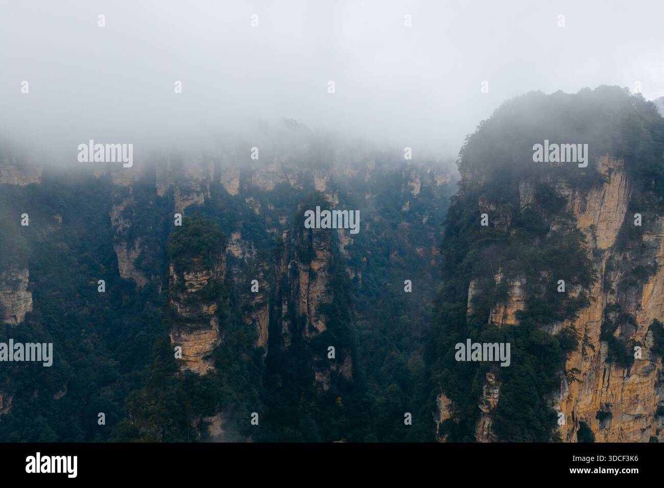 Vue aérienne de majestueux piliers de grès perçant à travers la brume éthérée, mettant en valeur la grandeur de la nature, parc forestier national de Zhangjiajie, Zhangjiajie, Banque D'Images