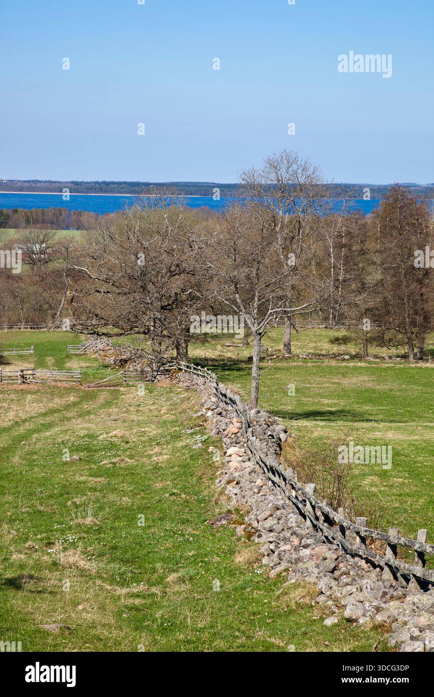 Magnifique paysage de campagne printanier Banque D'Images