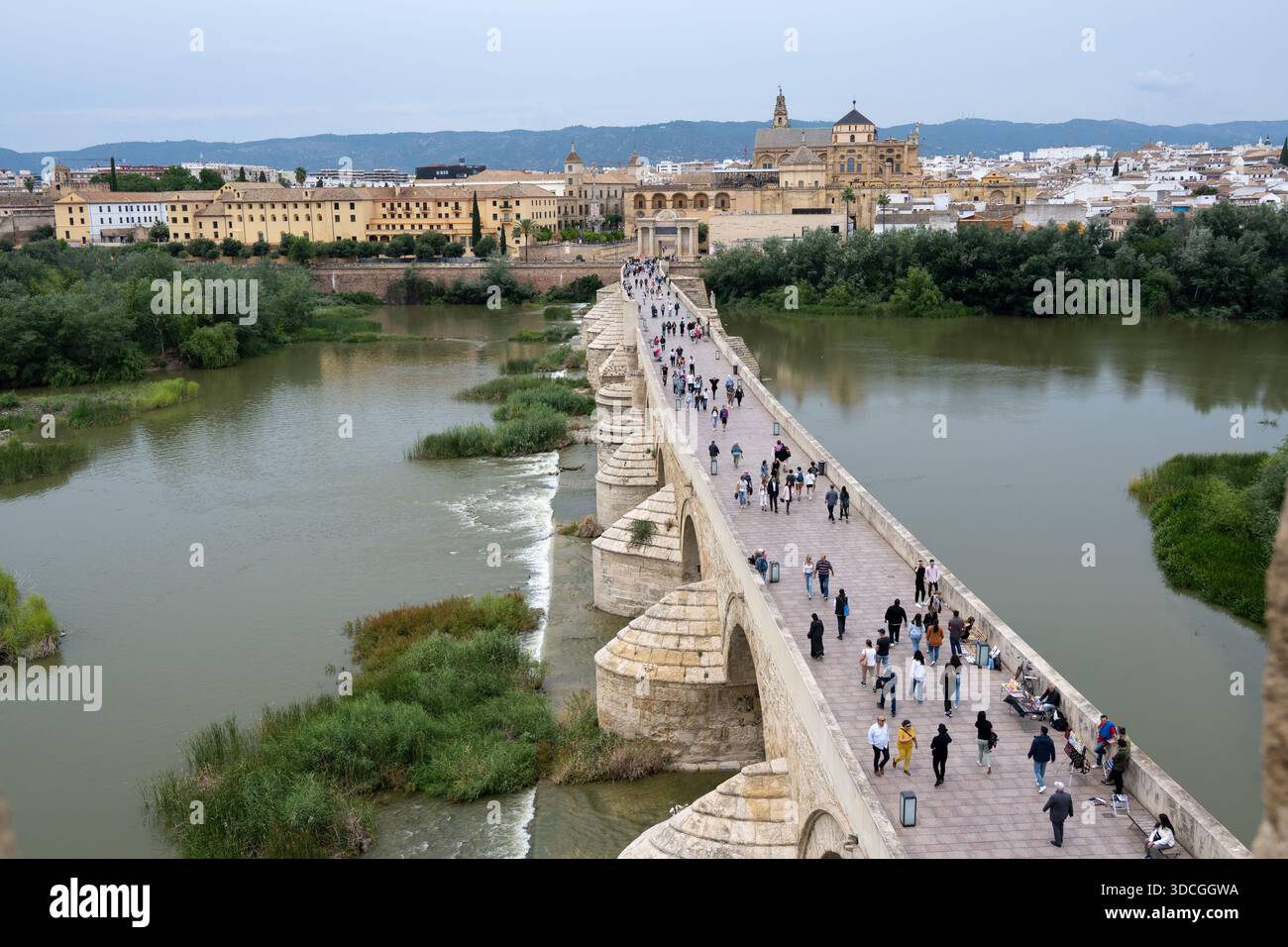 Cordoue, Espagne - 21 mai 23 : vue aérienne d'un pont de pierre historique sur une rivière, avec des gens marchant dessus, entouré de verdure et de bâtiments de la ville Banque D'Images