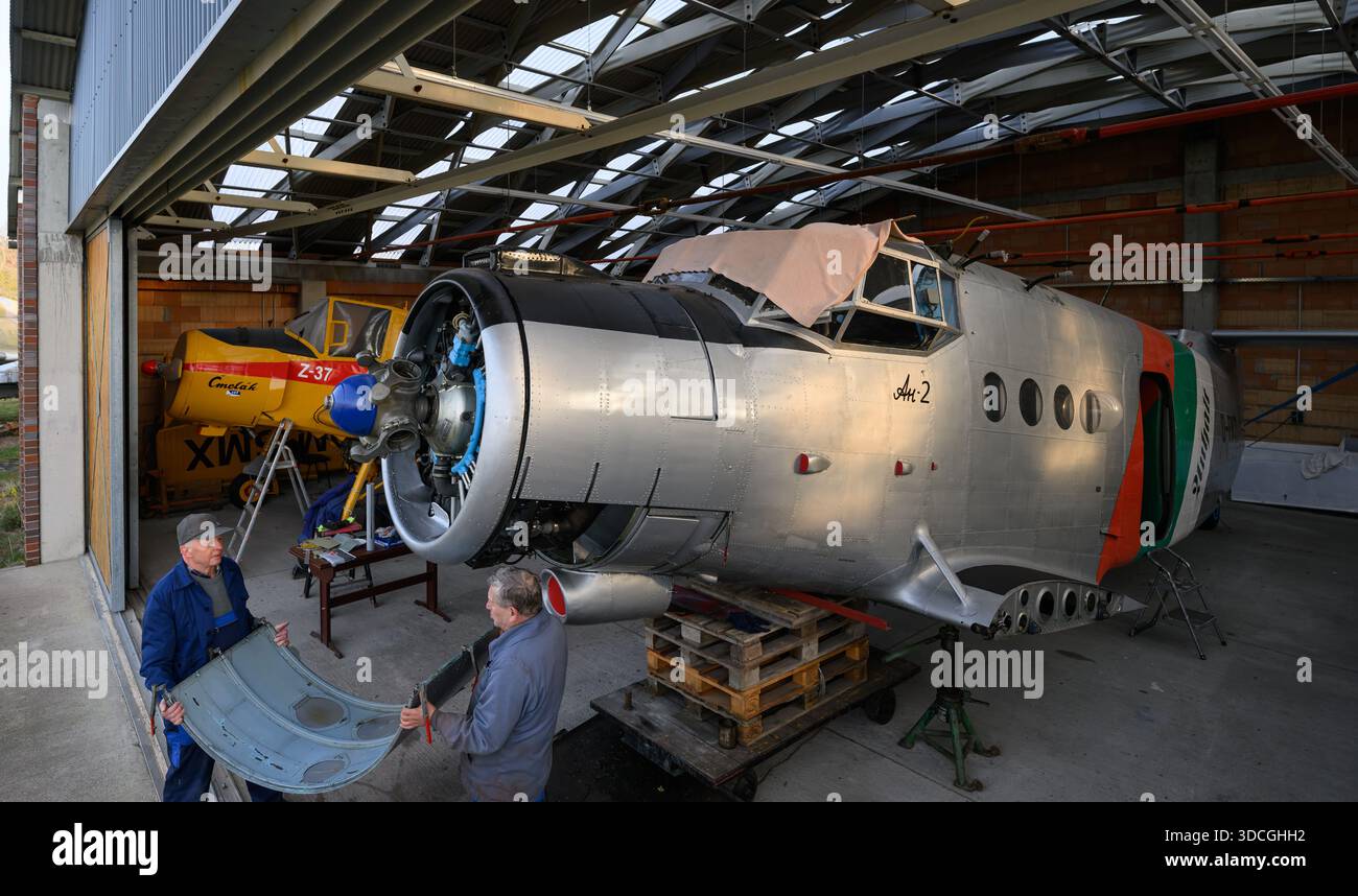 PRODUCTION - 18 décembre 2025, Saxe-Anhalt, Dessau-Roßlau : Arnold Rieck (à gauche) et Gert Koppensdorf, membres du Musée technique Hugo Junkers, travaillent sur le biplan Antonow an-2 à Dessau-Roßlau. Le musée se concentre sur le travail du concepteur d'avions et entrepreneur Hugo Junkers, de la technologie des appareils de chauffage et de gaz à l'ingénierie des moteurs et de la mécanique et à l'aviation. L'exposition centrale est un Junkers Ju restauré 52/3m. Une autre partie de l'exposition est consacrée à la construction aéronautique en RDA entre 1954 et 1961. Photo : Hendrik Schmidt/dpa Banque D'Images