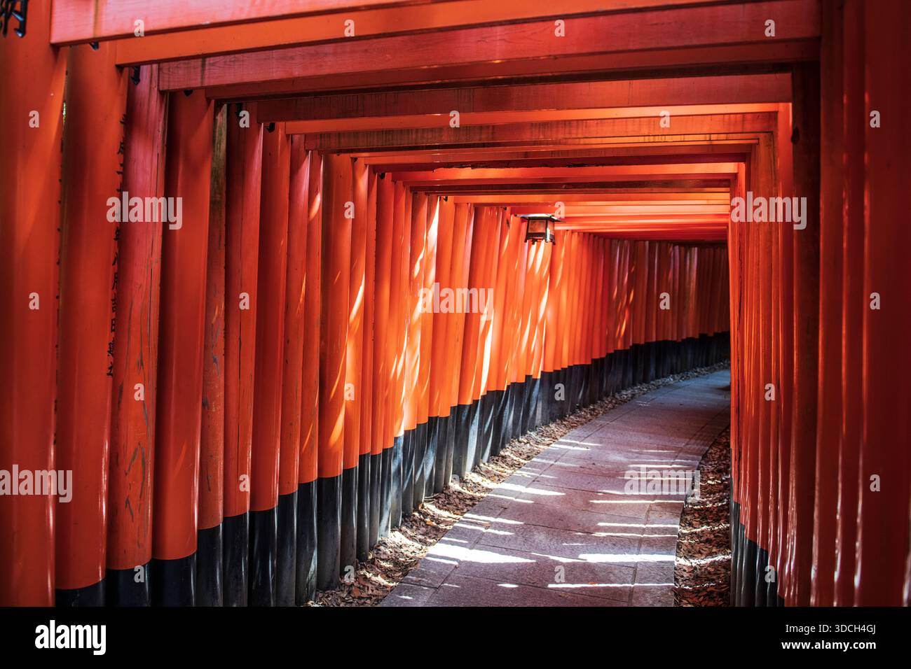 Sanctuaire Fushimi Inari, Kyoto. Japon Banque D'Images