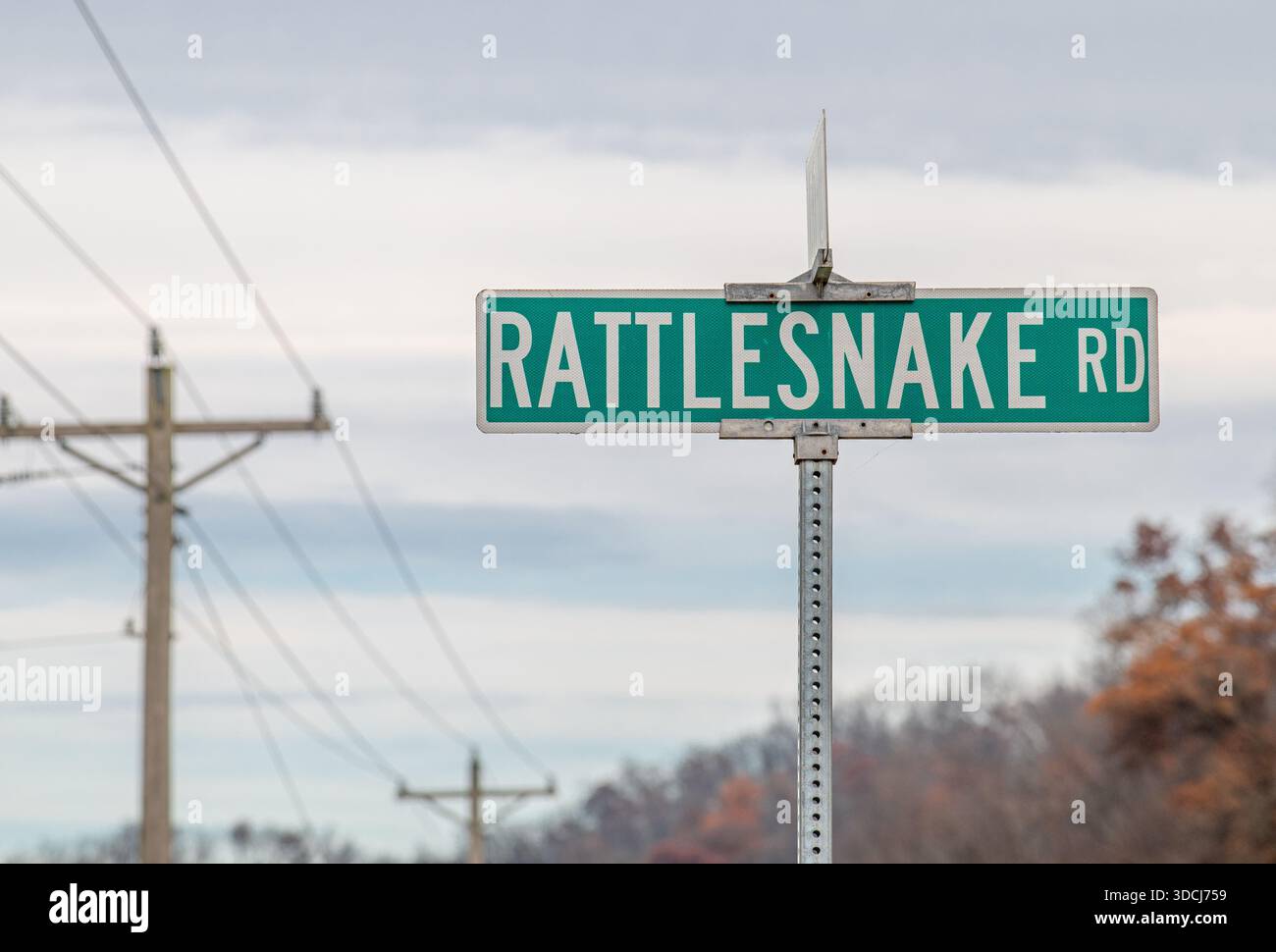 Panneau de rue pour Rattlesnake Road dans le comté de Grant, Wisconsin photographié contre un ciel couvert d'automne. Banque D'Images