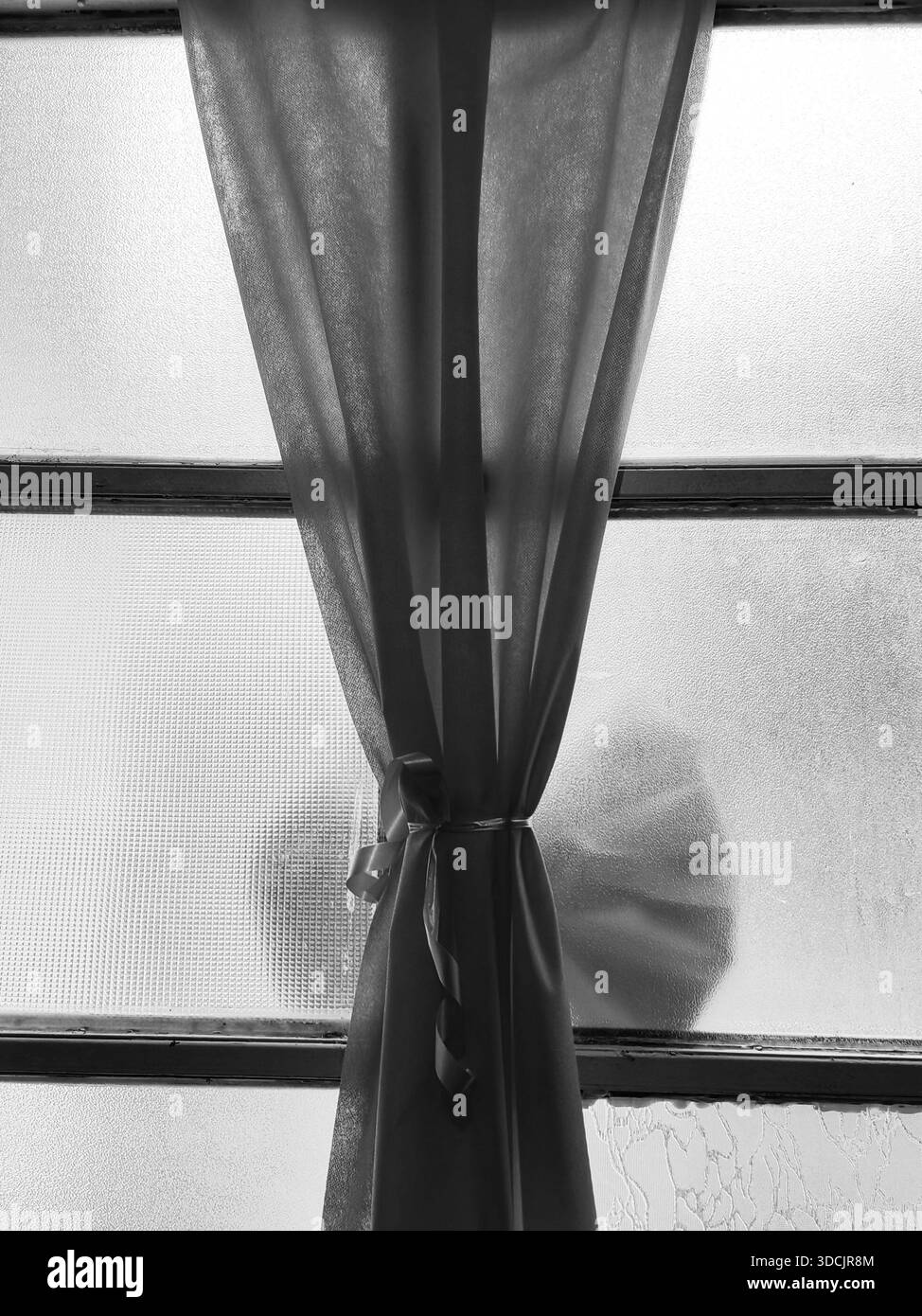 Décoration de vacances sur la fenêtre en verre de finition mate, fond. Teintes monochromes. Porte d'entrée. Banque D'Images