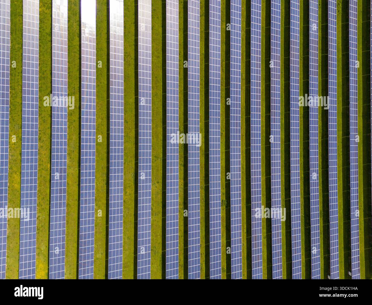 Vue aérienne de rangées de panneaux solaires qui brillent au milieu du paysage verdoyant, un témoignage de la promesse de l'énergie propre pour un avenir meilleur, Perth, Écosse, ONU Banque D'Images