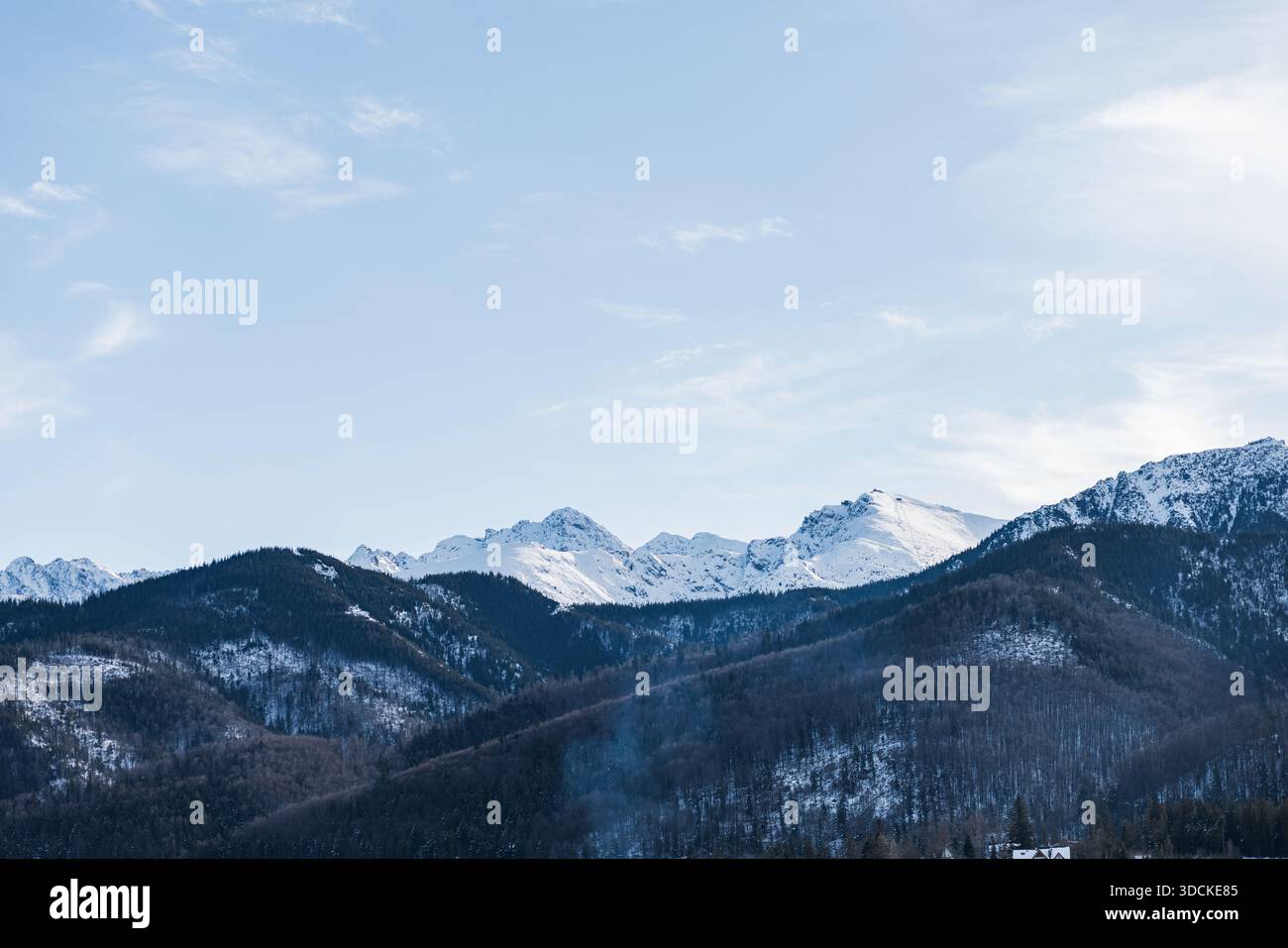 Les pics spectaculaires et ensoleillés des montagnes Tatra (y compris la croix de Giewont) s'élèvent au-dessus de sombres contreforts boisés sous un ciel bleu vif. W Banque D'Images