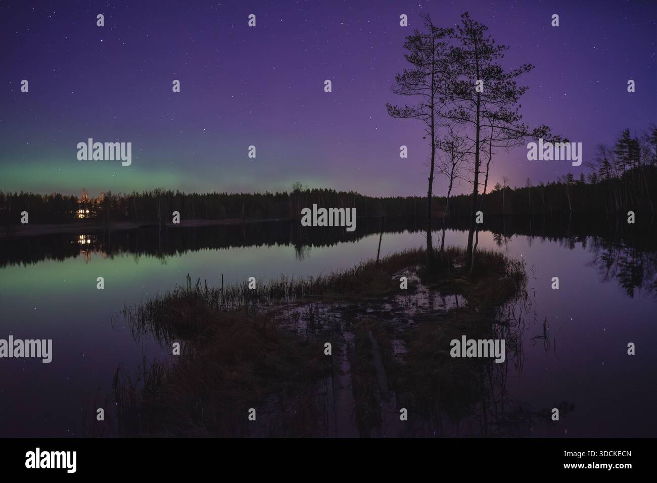 Aurora Borealis sur une petite île dans un lac calme la nuit, Finlande Banque D'Images