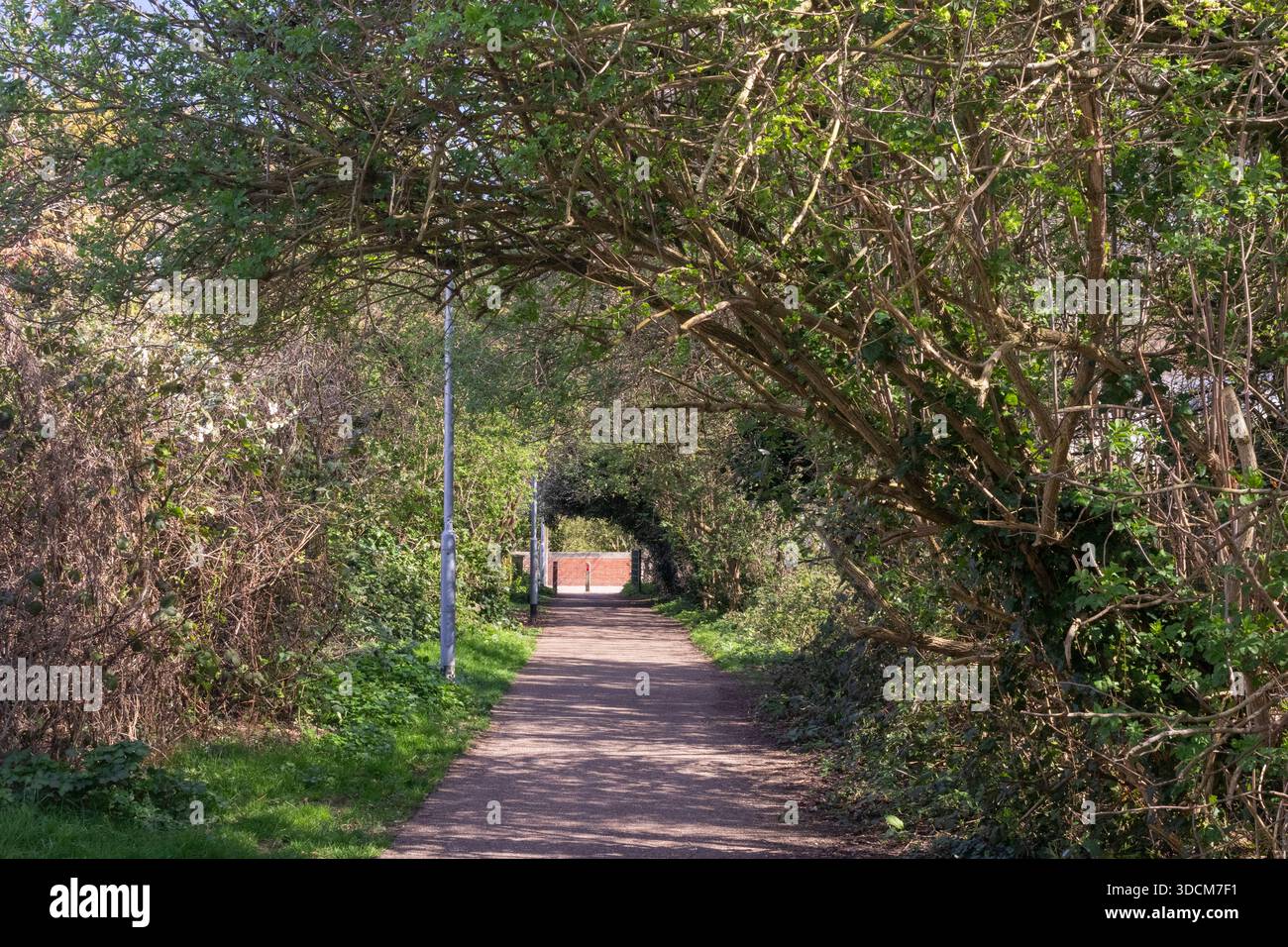 Sentier parallèle à Prittle Brook Greenway, Leigh-on-Sea, Essex, Angleterre, Royaume-Uni, un jour ensoleillé de printemps. (Une connexion sans trafic pour cy Banque D'Images