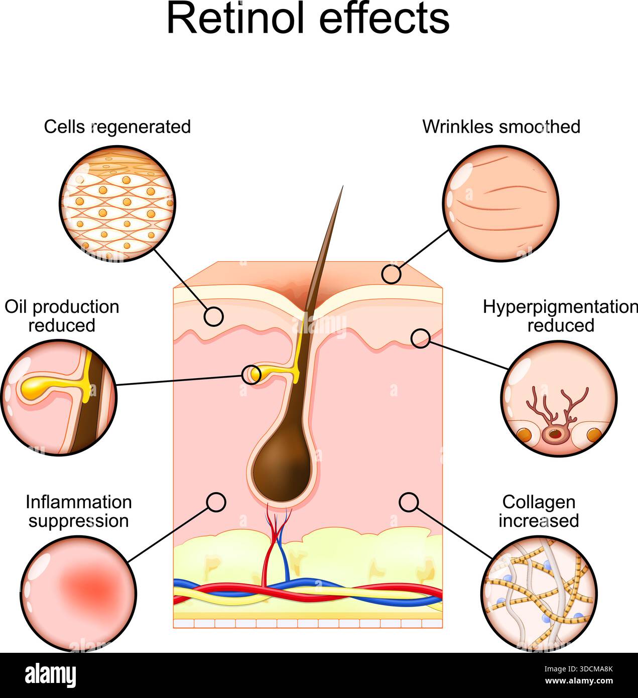 Effets du rétinol. Vitamine A pour les soins de la peau. Thérapie de rajeunissement cutané. Avantages des rétinoïdes. Illustration vectorielle Illustration de Vecteur