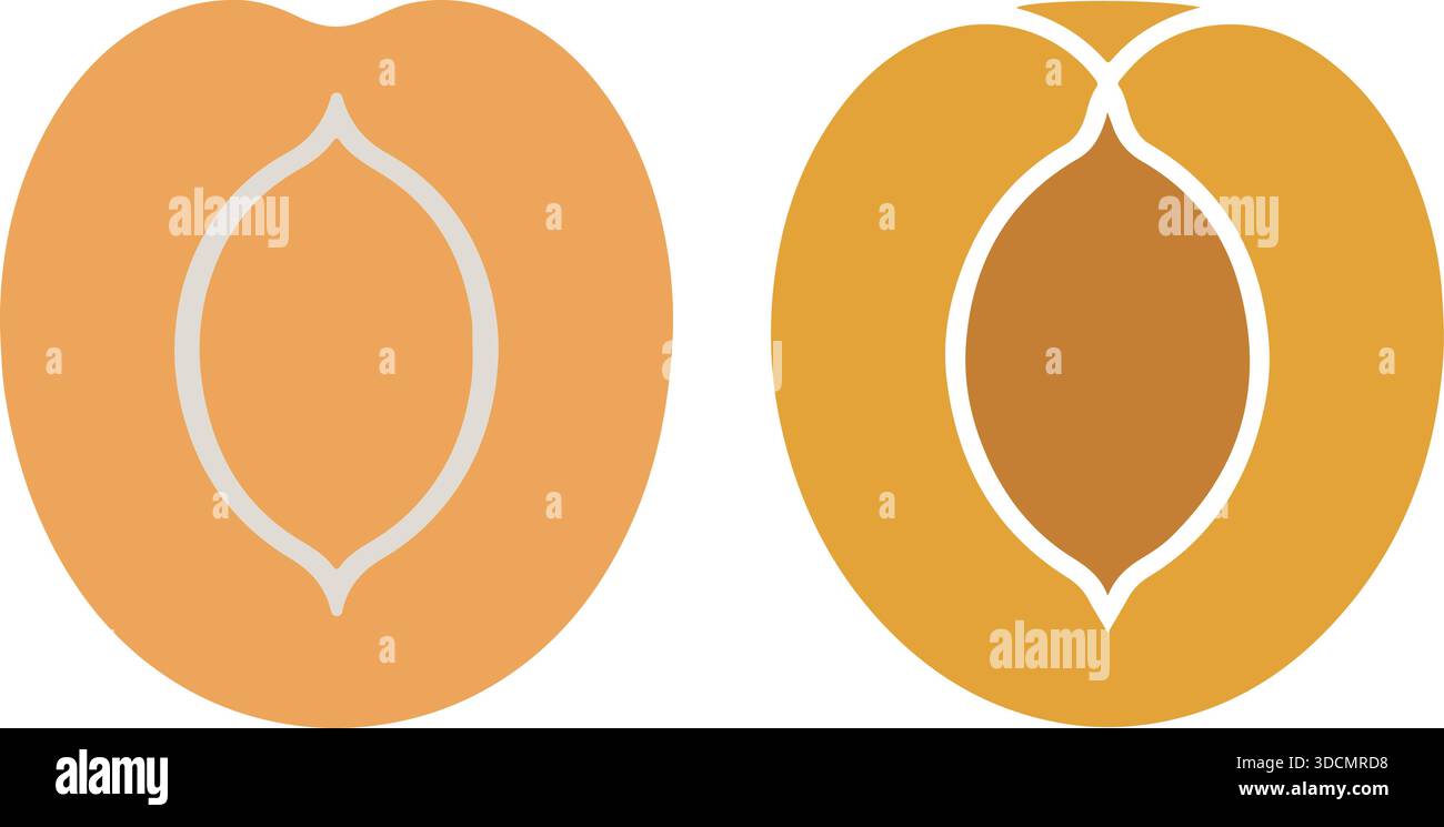 Demi-icône de fruit d'abricot Set illustration de graines plates pour aliments biologiques frais Illustration de Vecteur