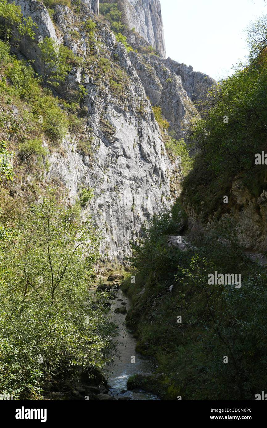 Voyage roumanie transilvania Cheile rivière turzii coulant doucement à travers les gorges rocheuses de turzii, un monument naturel en transylvanie Banque D'Images