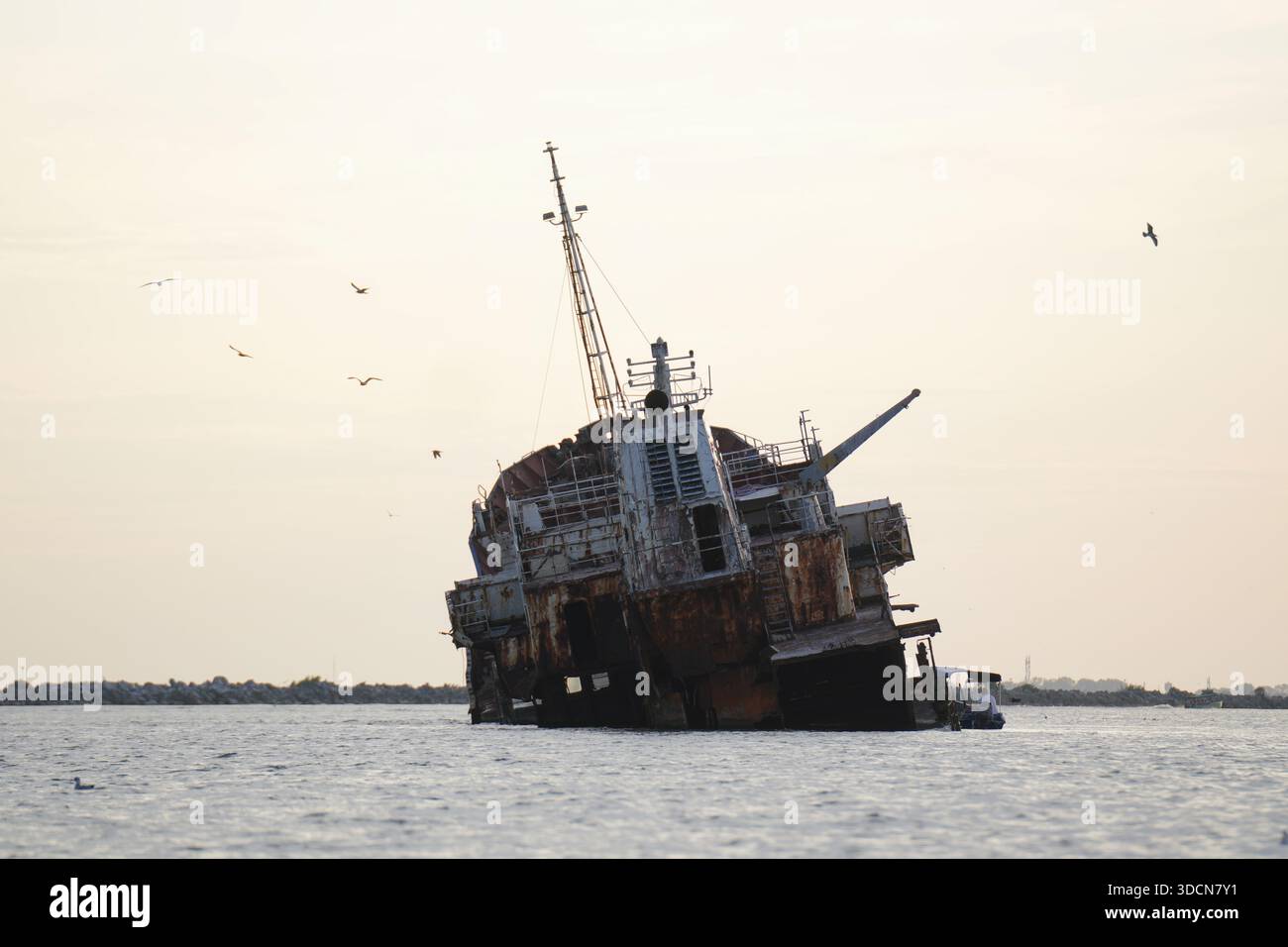 Voyage roumanie tulcea sulina delta du danube mer noire naufrage abandonné qui se décompose lentement dans l'eau, fournissant un habitat pour les mouettes Banque D'Images