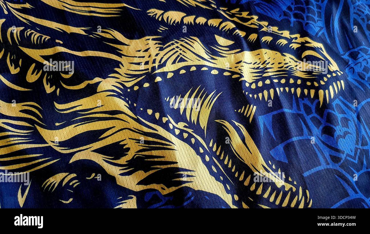 Futebol Clube do Porto reconnu comme FC Porto, est une organisation sportive professionnelle de premier plan située à Porto, au Portugal Banque D'Images