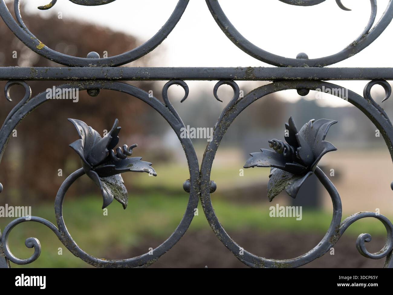 Fleurs décoratives forgées sur une clôture en fer antique Banque D'Images