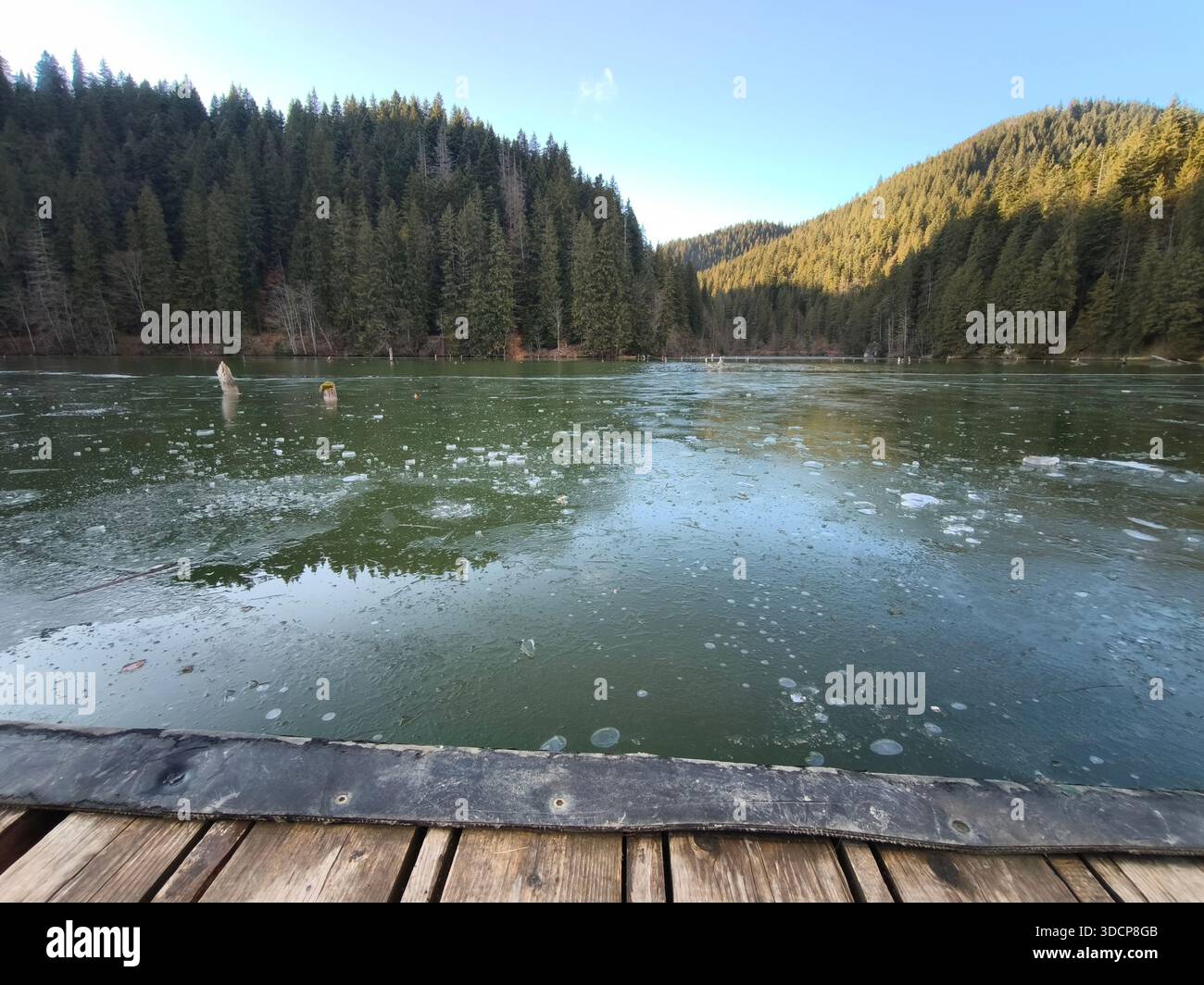 Red Lake Romania, lac de montagne gelé entouré d'une dense forêt de pins sous un ciel clair, vu d'une jetée en bois dans un paysage d'hiver paisible. Banque D'Images