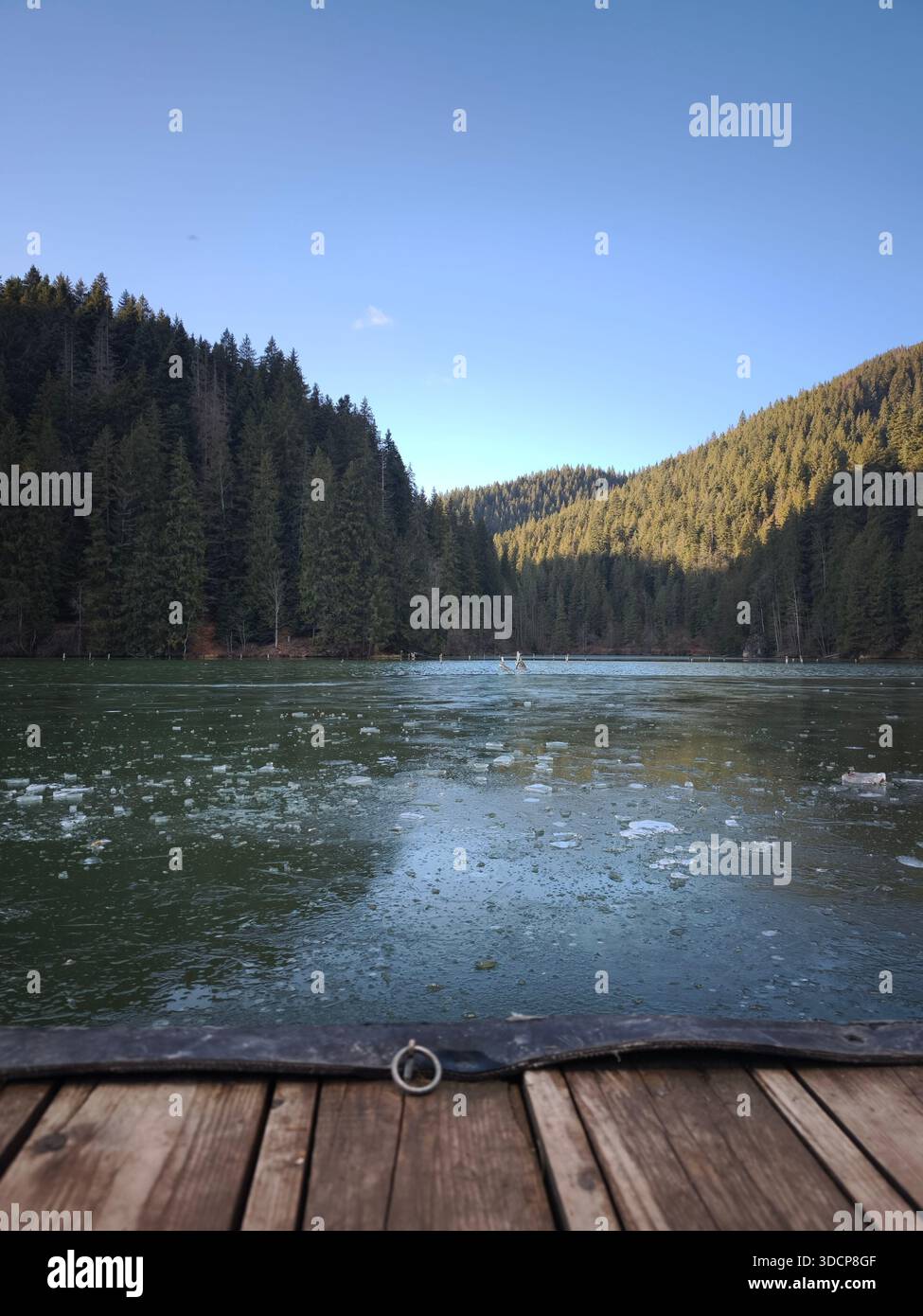 Red Lake Romania, lac de montagne gelé entouré d'une dense forêt de pins sous un ciel clair, vu d'une jetée en bois dans un paysage d'hiver paisible. Banque D'Images