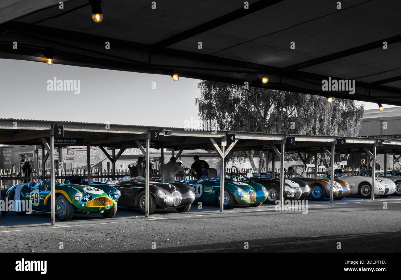 Une ligne de Jaguar de course classique et d'Aston Martins dans le paddock au Goodwood Revival 2025 Banque D'Images