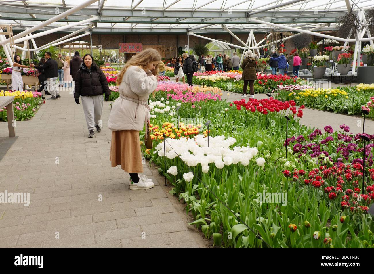 Keukenhof, Hollande avril , Groupe de visiteurs marchant le long du sentier pavé du parc avec sacs à dos et vestes, exploration décontractée parmi les arbres Banque D'Images