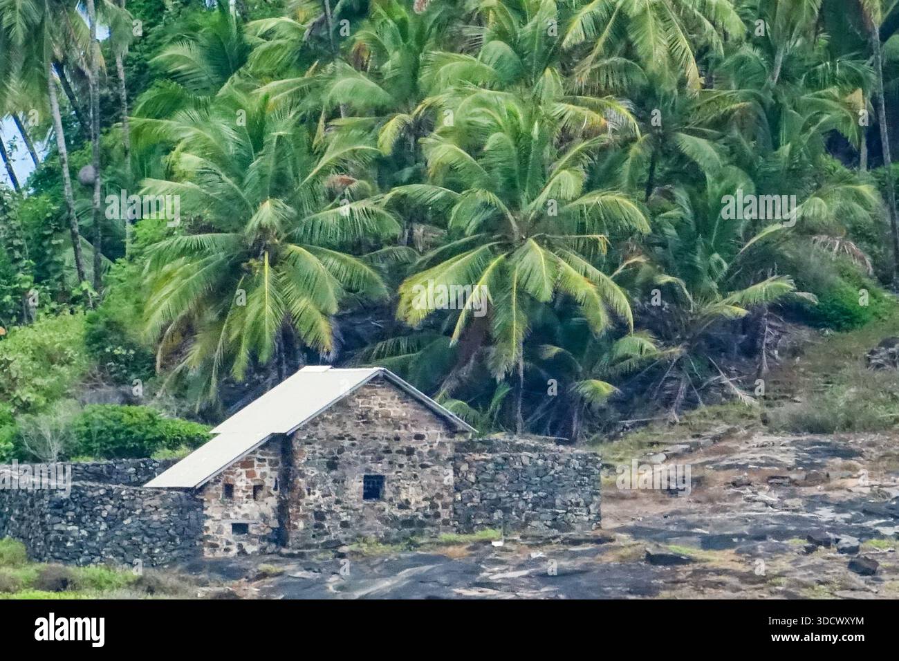 La cabane en pierre entourée de cocotiers qui abritait le prisonnier politique français, le capitaine Alfred Dreyfus, sur l’île du Diable, dans les colonies pénitentiaires des îles du Salut, près de Kourou, en Guyane française. Dreyfus, un prisonnier politique a été maintenu en isolement au chalet de 1895 à 1899. Banque D'Images