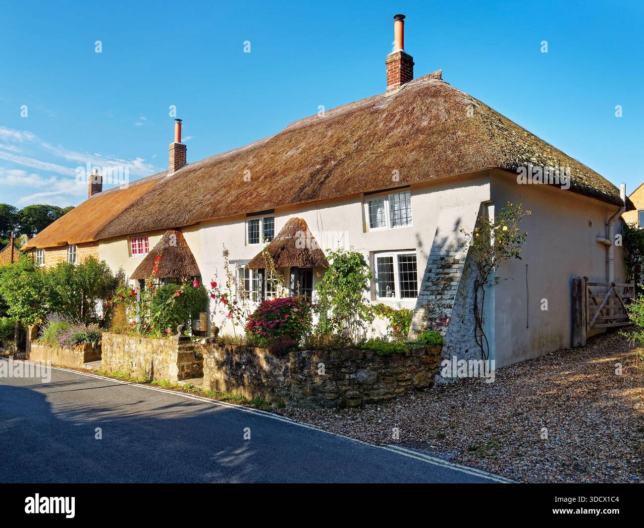 Royaume-Uni, Dorset, Chideock, Sea Hill Lane Cottages. Banque D'Images