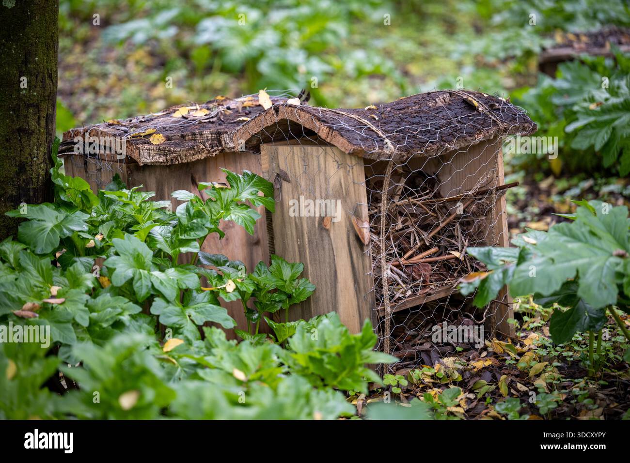 Lisbonne Portugal décembre 07 2025. Un hôtel d'insectes en bois rempli de bâtons se trouve sur le sol dans le parc forestier de Monsanto. Banque D'Images